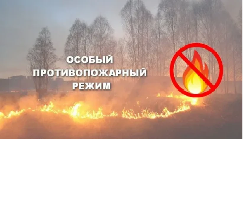 Подготовка объектов и населенных пунктов Нижегородской области к пожароопасному периоду 2025 года и установление особого противопожарного режима на территории Нижегородской области с 1 апреля 2025 г.